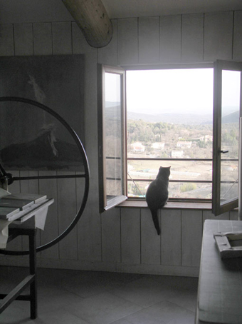 lila - chat 1