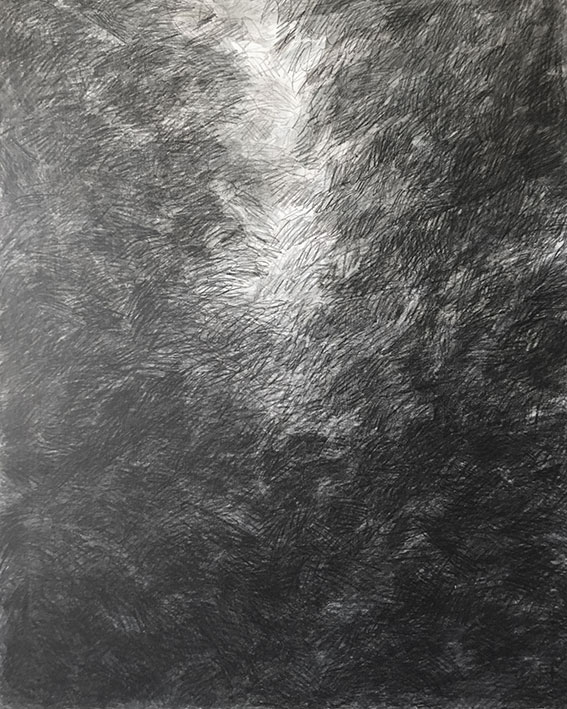 lumière sous la mer