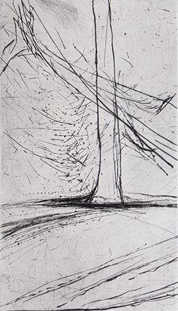arbre