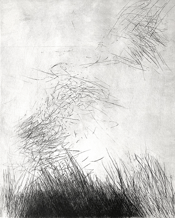 Herbes