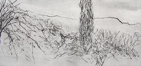 paysage
