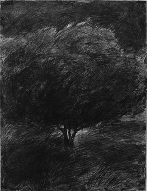 arbre