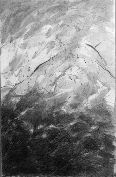 montagne et brume
