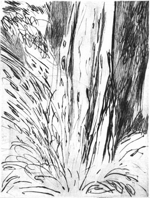cascade V