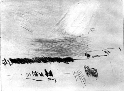 paysage