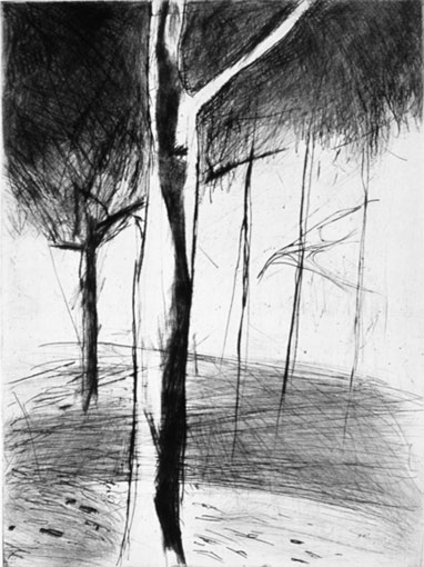 arbre I