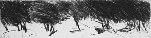 arbres