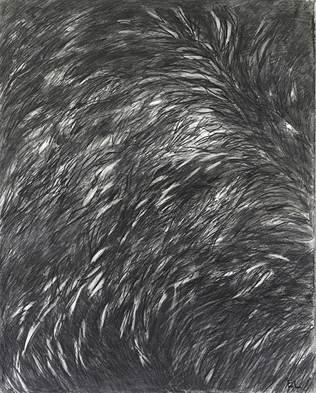 feuillage 2