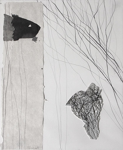 collage 2